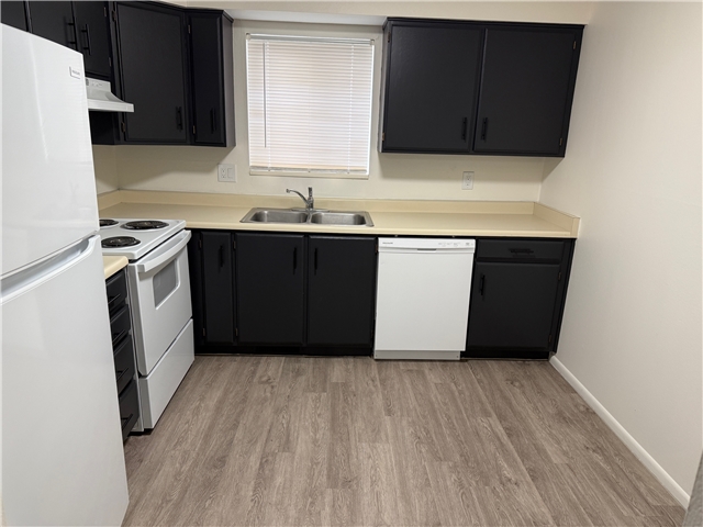 Provo Apartment: 293 N 400 W