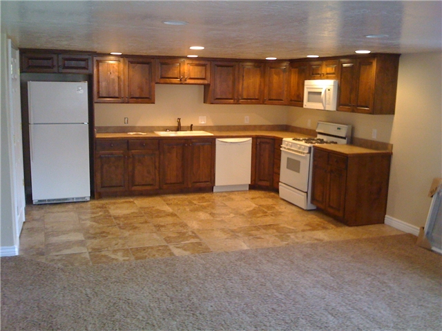 Spanish Fork In-Law/Basement: 259 E 800 N