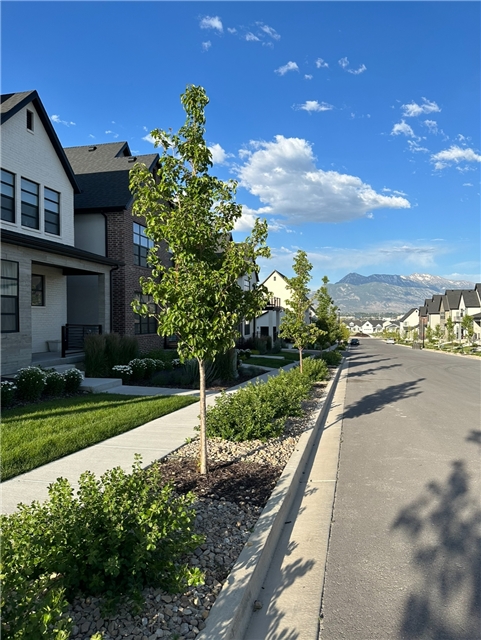Lehi Single Room: 2408 N Alesund Way