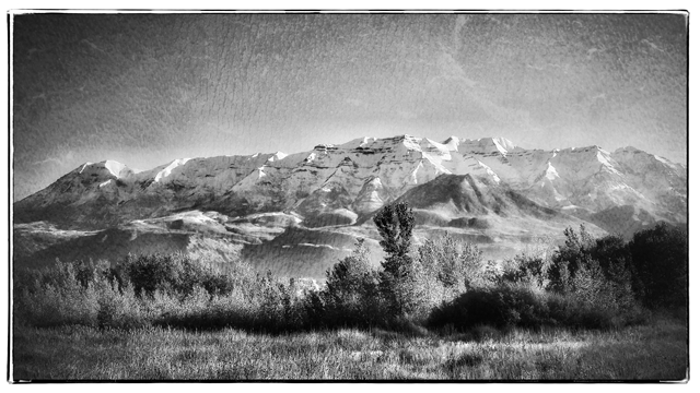 Vineyard Apartment: 216 E 500 N