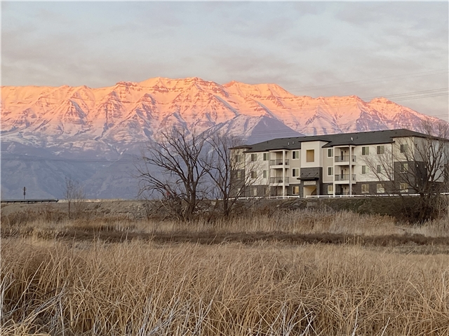 Vineyard Condo: 779 N 380 W