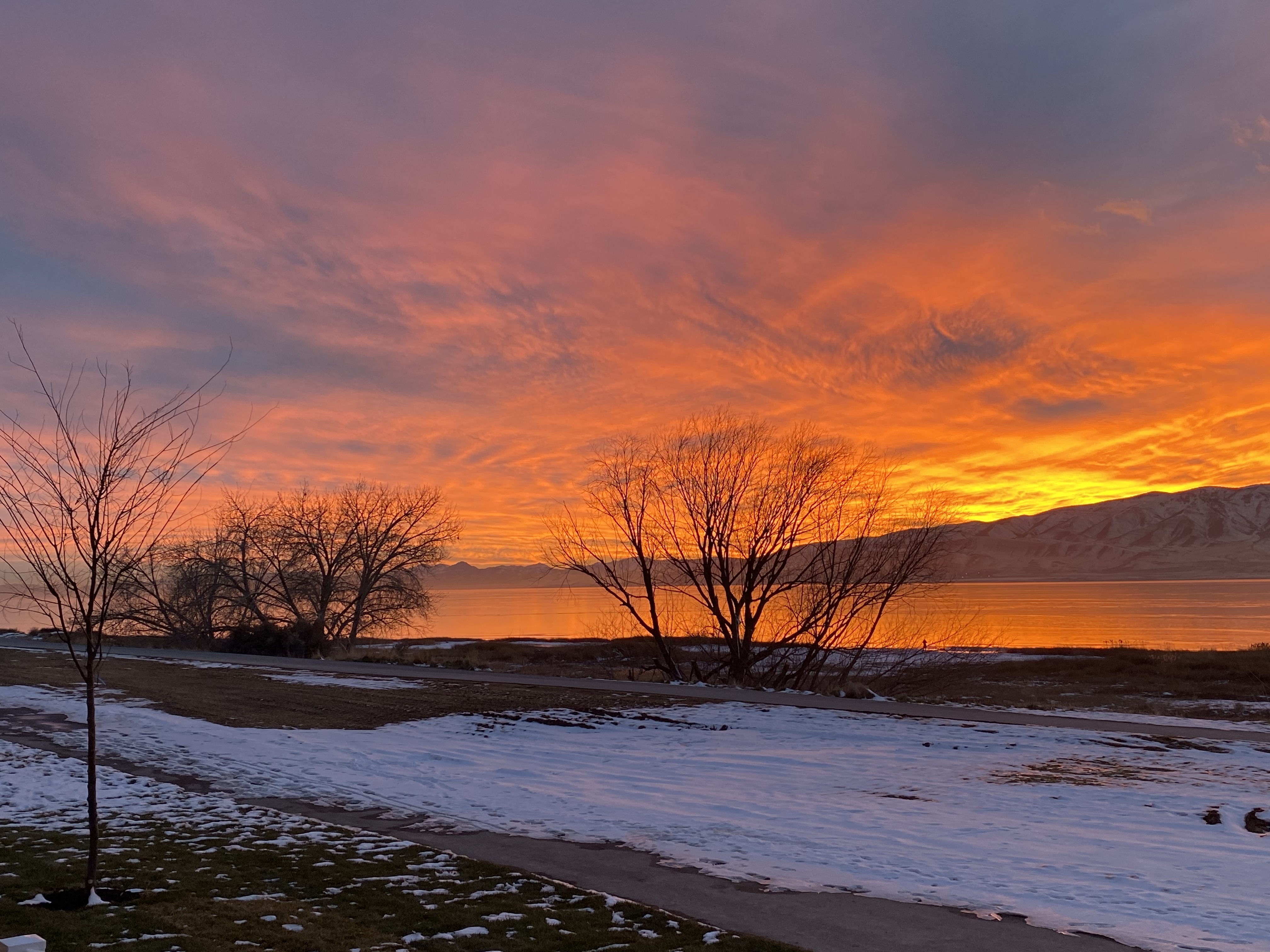 Vineyard Single Room: 339 W 785 N