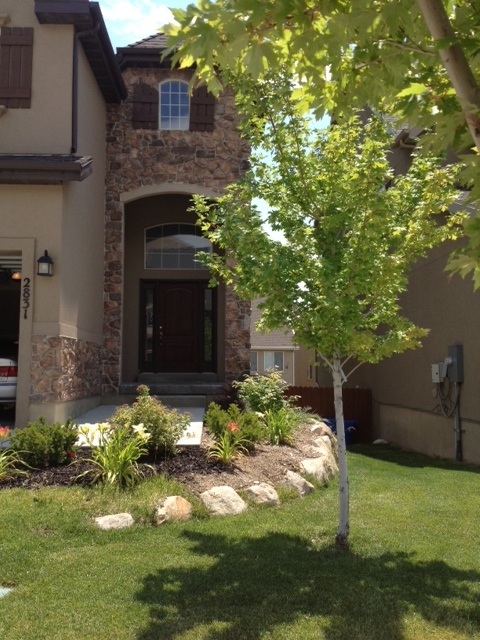 Lehi House: 2831 Chestnut St