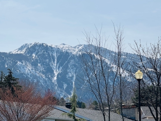 Sandy Single Room: 2410 E Fox Hunt Dr