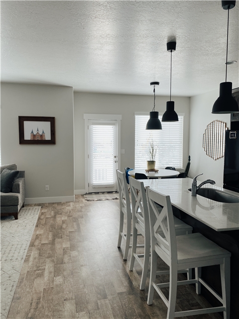 Vineyard Townhome: 677 N Fall Creek Dr